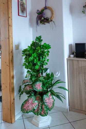 Apartamentos Ferienhaus Simmeth