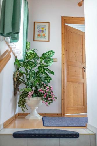 Apartamentos Ferienhaus Simmeth