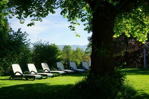 Hotel Amberger Hof
