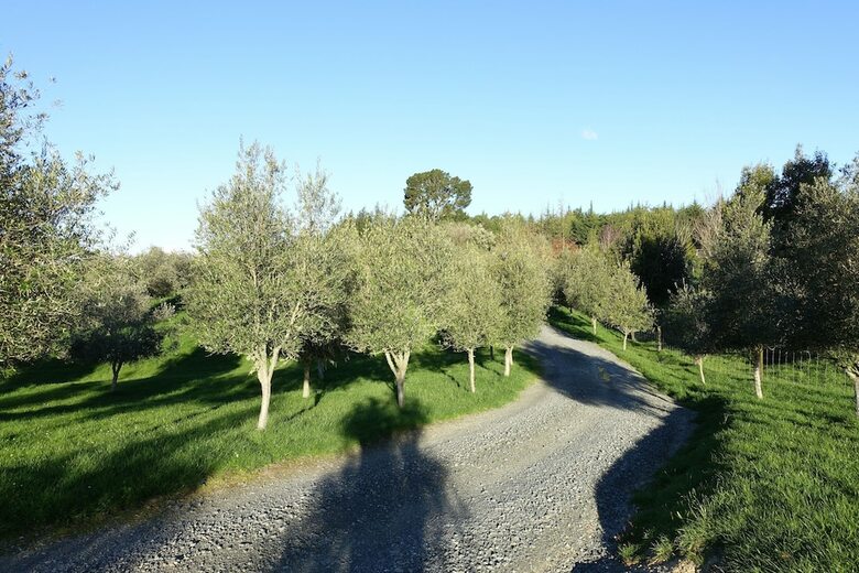 Posada Tasman Hill Lodge - Adult Only