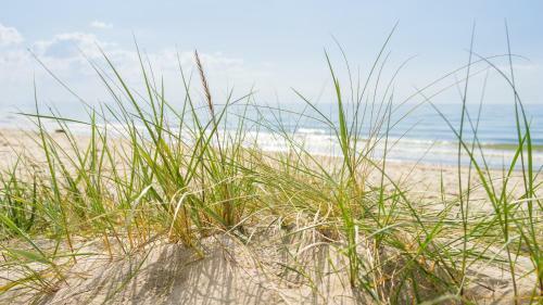 Hostal Pension Seem�we