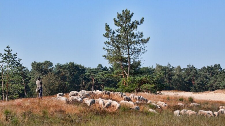 Holidaypark Duinhoeve