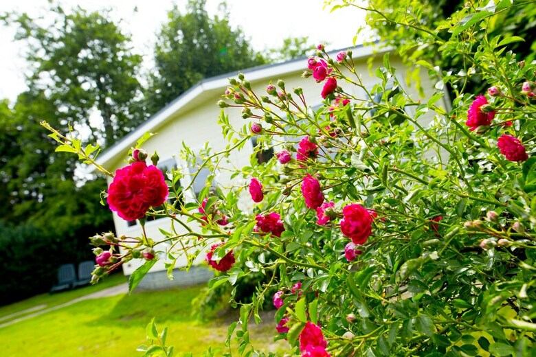 Holidaypark Duinhoeve