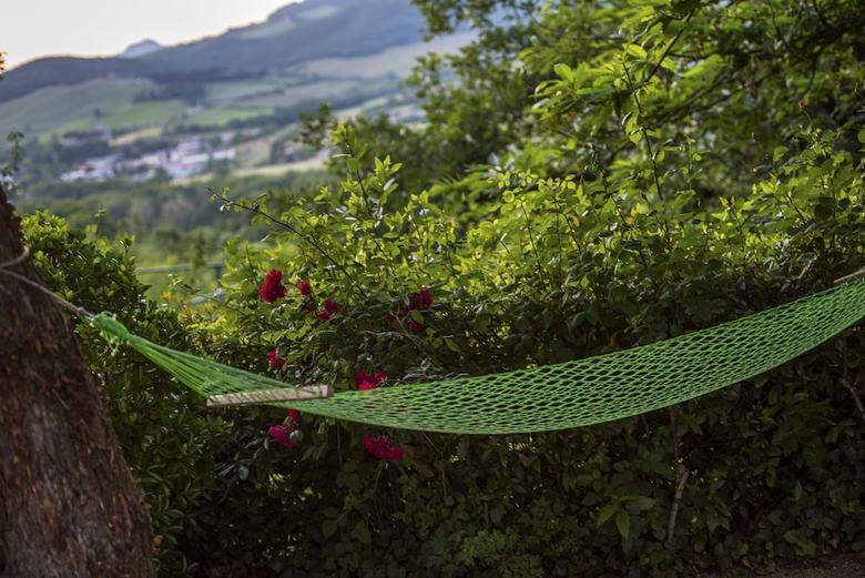 Agroturismo Agriturismo Casale Le Crete