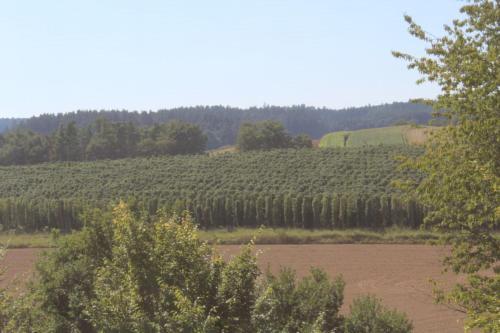 B&B Hotel Holledau