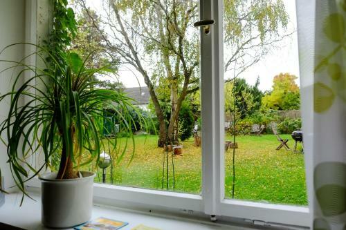 Hostal Rheinriver Guesthouse - Art Hotel