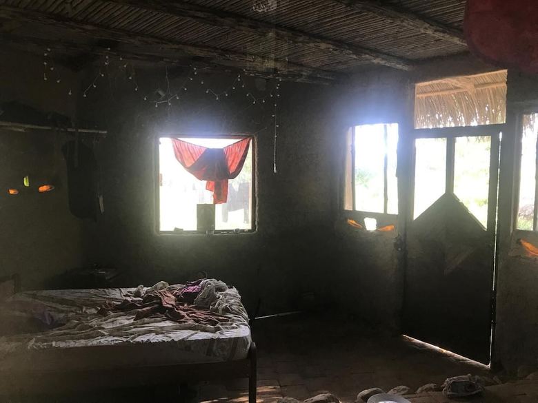 Ayahuaska