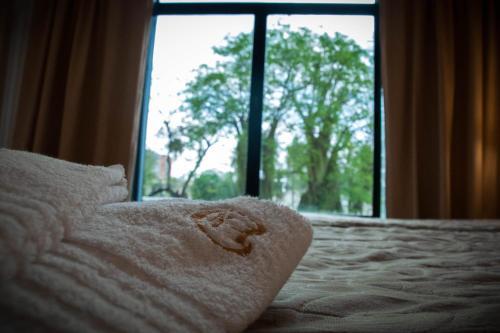 Corrientes Plaza Hotel