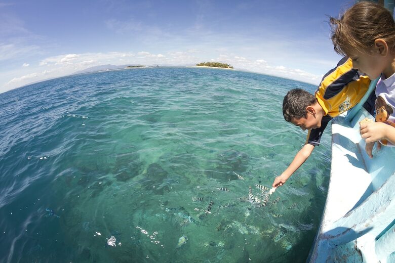 Hotel Beachcomber Island Resort