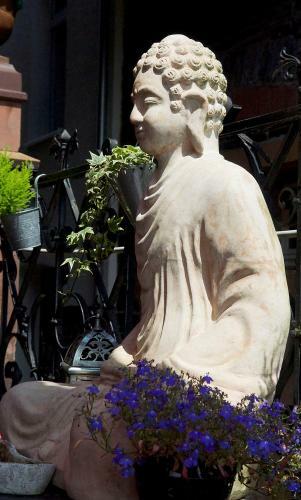 Hotel Vier L�wen