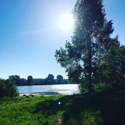 Hostal G�stehaus Kersting