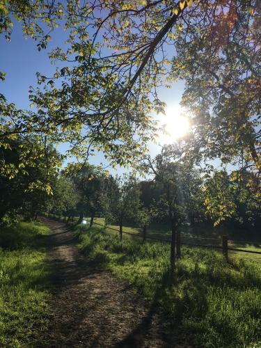 Hostal G�stehaus Kersting