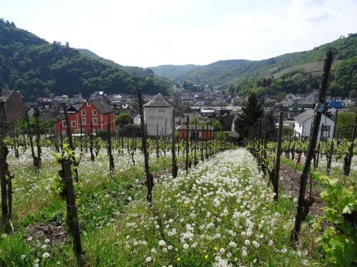 Apartamento Stay Mosel