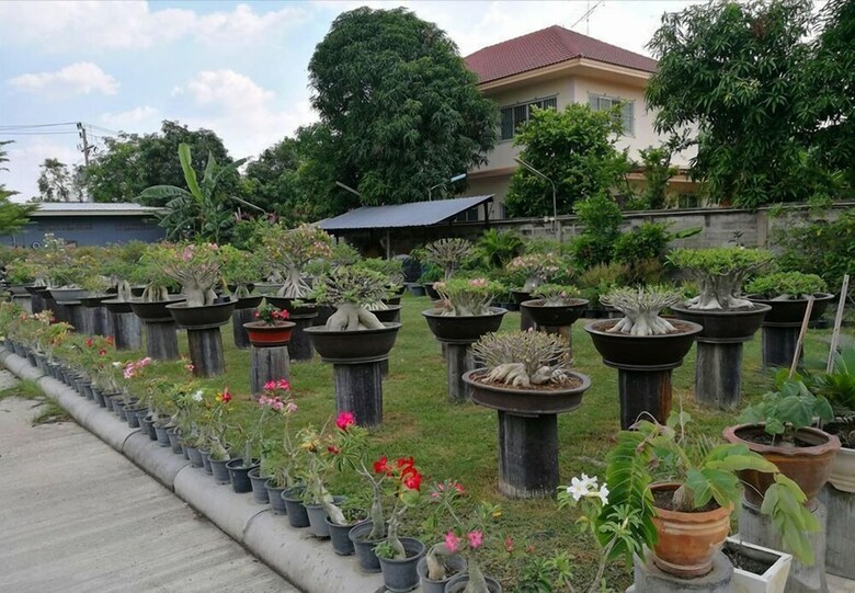 Hotel Chuan Chom The High Resort Saraburi