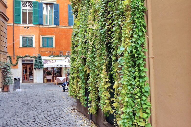 Apartamento Rome Accommodation - Altemps