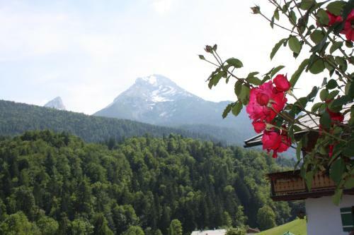 Apartamento Alpenferienwohnungen Wiesenlehen
