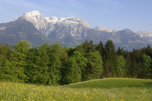 Alpenhotel Hundsreitlehen