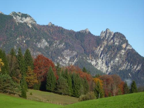 Hostal Pension Herzogh�usel