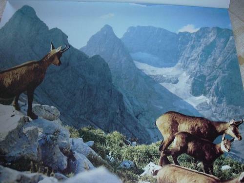 Hostal Pension Herzogh�usel