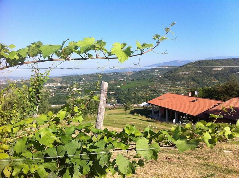 Agroturismo Agriturismo Il Pianetto