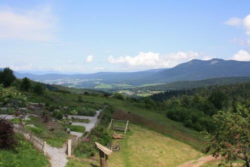 Berghotel Moosh�tte