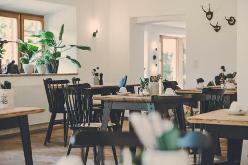 Hostal Aparthotel Ledererhof