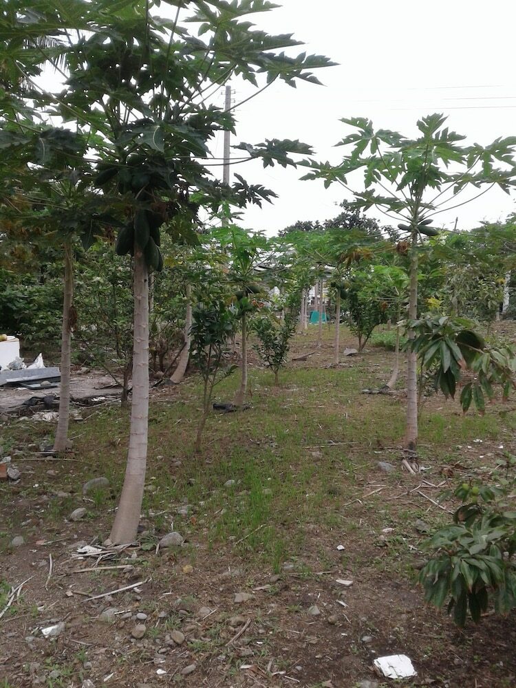 Taitung Linyuan B&B