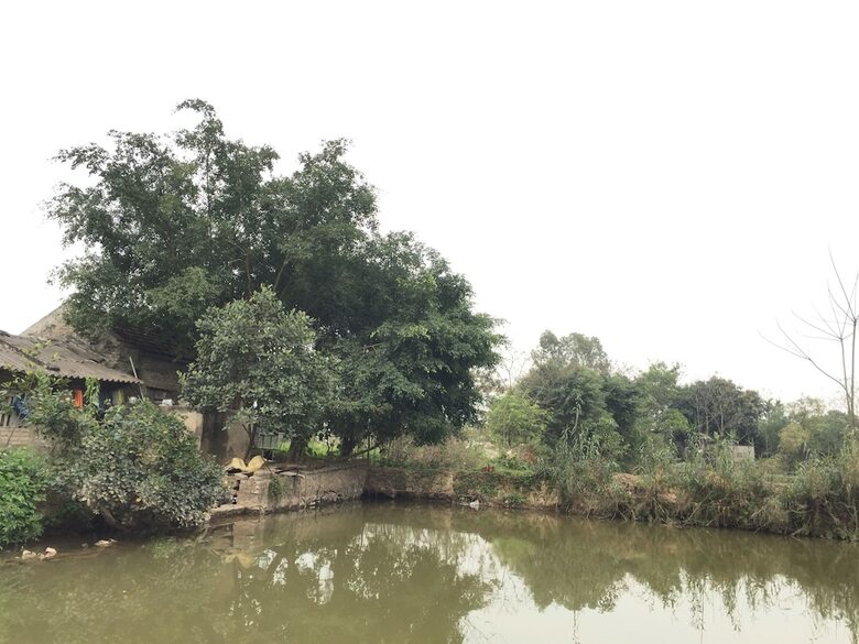 Hotel Tam Coc Happy Home