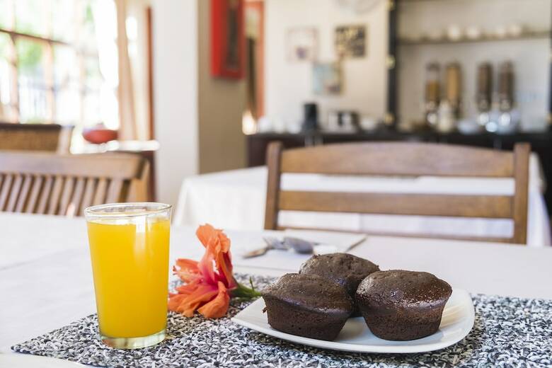 Bed & Breakfast Induna Lodge