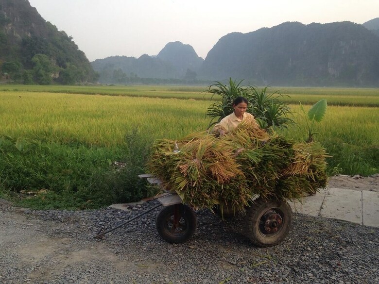Hotel Tam Coc Mountain View Homestay