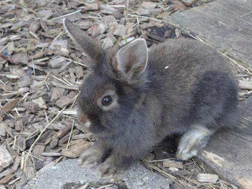 Hotel Beim Haxenwirt