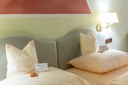 Hostal Goldener Schwan Hotel Garni