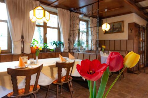 Hostal Goldener Schwan Hotel Garni