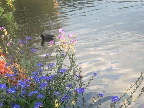 Landhotel Maximilian