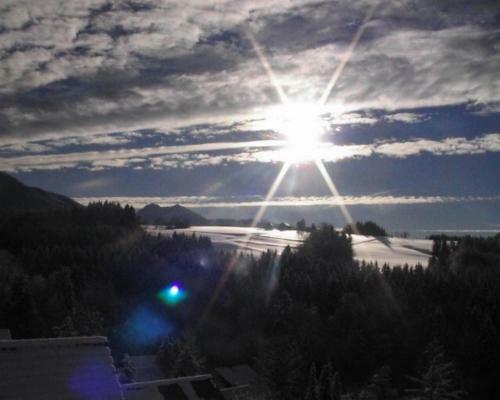 Apartamento Ferienwohnung Teddy