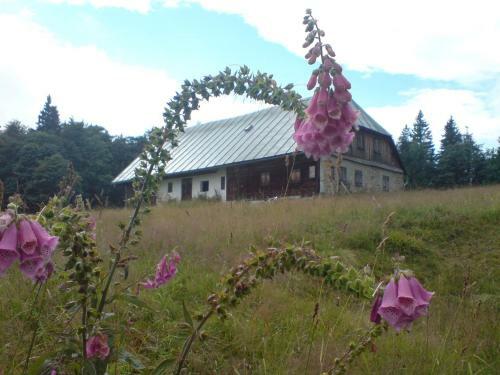 Posada Zur Alten Dampfs�ge - Gasthaus-pension Weber