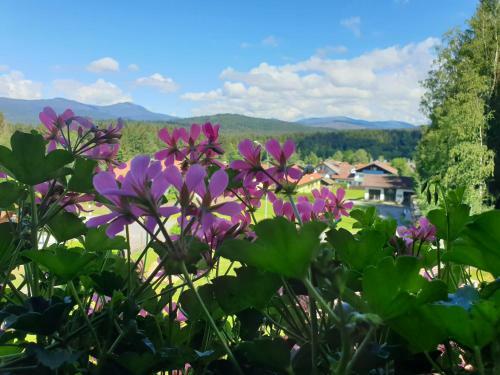 Apartamento Haus Bergblick