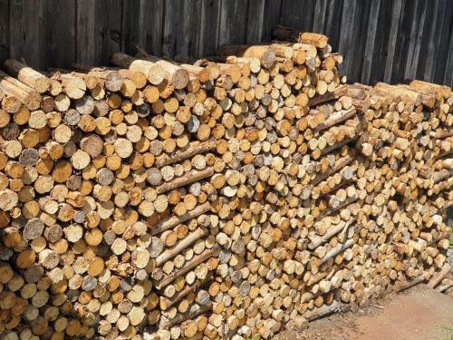 Apartamento Haus Bergblick