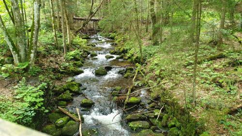Apartamento Haus Bergblick