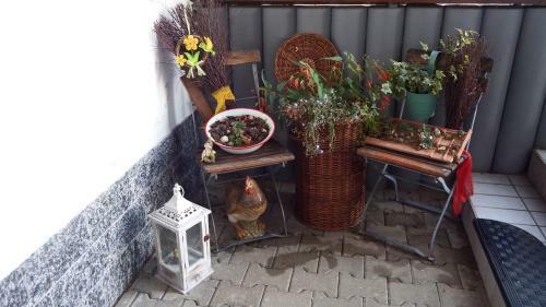 Apartamento Haus Bergblick