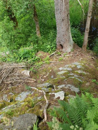 Apartamento Haus Bergblick