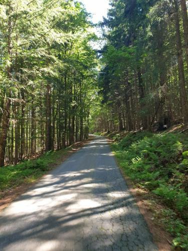 Apartamento Haus Bergblick