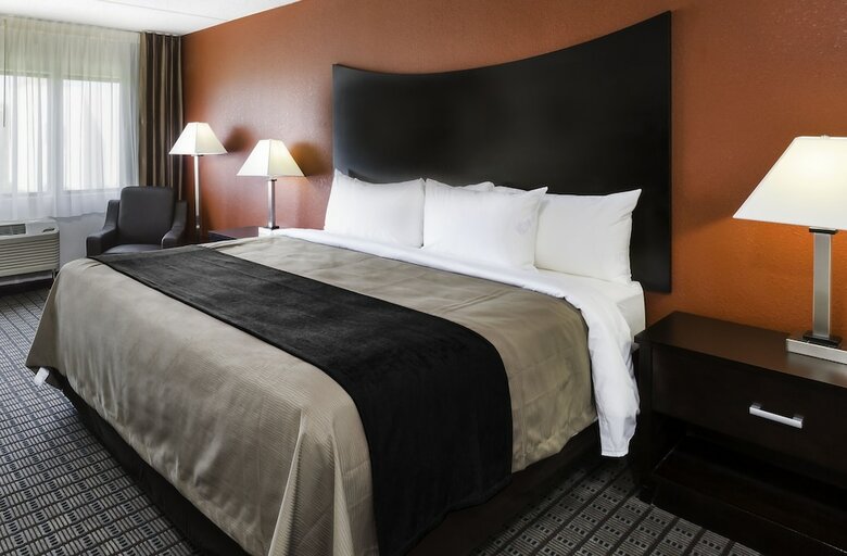 Hotel Comfort Inn & Suites Bwi Airport