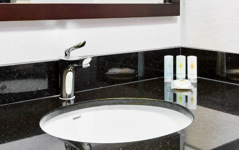 Hotel Comfort Inn & Suites Bwi Airport
