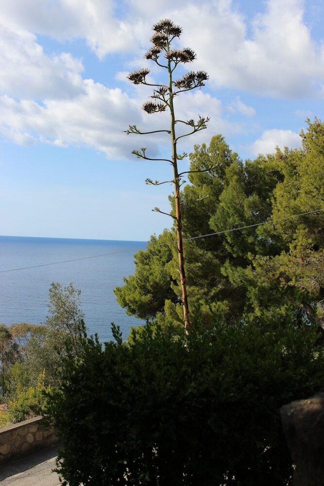 Villaggio Camping Costa Del Mito