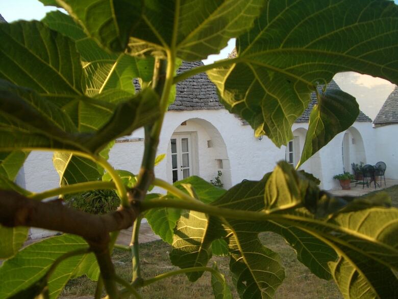 Bed & Breakfast Masseria Pozzo Tre Pile - Romantic Trullo