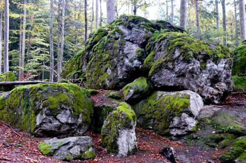 Bayernstern - Ihr Wander- & Wohlf�hlhotel