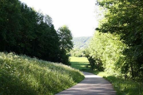 Hostal Gasthof Alte Schreinerei