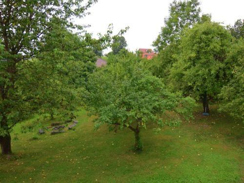 Magnific Holiday Home In Perlesreut Near Forest