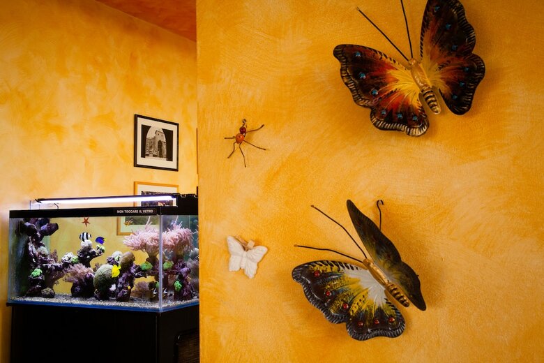 Hotel Stella D'oro